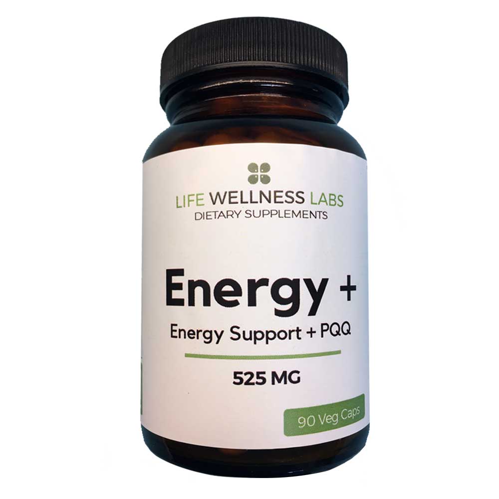 energy-plus_1000x